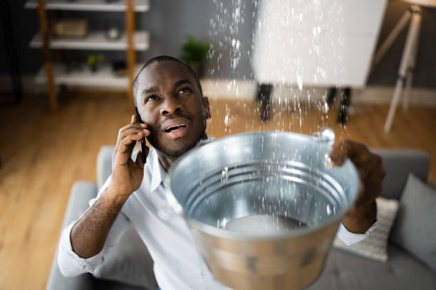 Best Basement water damage restoration  in Gunnison, CO