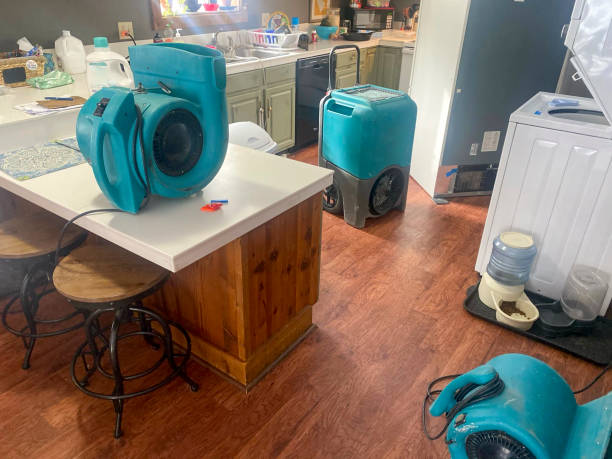 Best 24/7 water damage repair  in Gunnison, CO