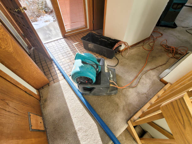 Best Water damage repair service  in Gunnison, CO