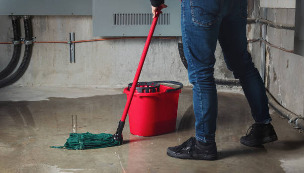 Best Flooded house restoration  in Gunnison, CO
