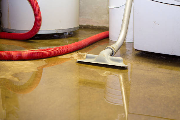 Best Basement water damage restoration  in Gunnison, CO