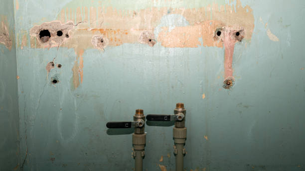 Best Water damage mitigation services  in Gunnison, CO