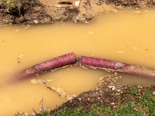 Best Water damage cleanup near me  in Gunnison, CO