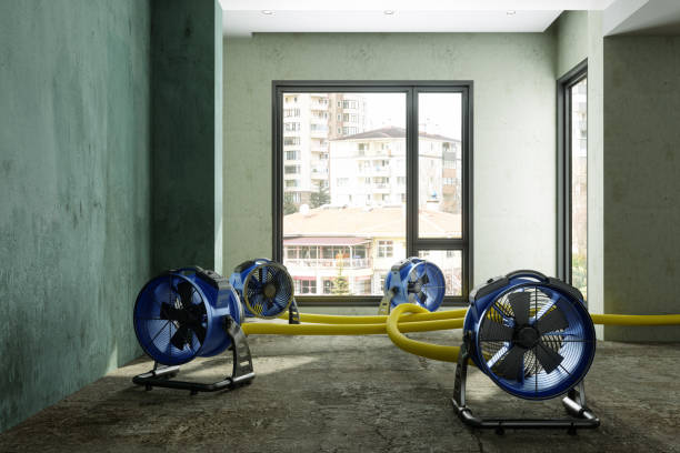 Best Carpet water damage restoration  in Gunnison, CO